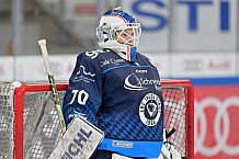 Eishockey, Frauen, DFEL, Saison 2024-2025, ERC Ingolstadt - EC Bergkamener Bären, 12.10.2024