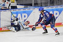 Eishockey, Herren, DEL, Saison 2020-2021, Adler Mannheim - ERC Ingolstadt, 24.01.2021