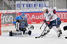 Eishockey, Herren, DEL, Saison 2023-2024, Spieltag 38, ERC Ingolstadt - Adler Mannheim, 14.01.2024