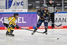 Eishockey, Frauen, DFEL, Saison 2022-2023, ERC Ingolstadt - Mad Dogs Mannheim, 19.11.2022