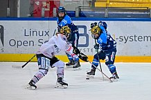 Eishockey, Frauen, DFEL, Saison 2025-2026, ERC Ingolstadt - ECDC Memmingen Indians, 25.01.2026