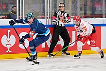 Hockey, Mens, CHL, Season 2025-2026, Regular Season, Game Day 6, ERC Ingolstadt - Odense Bulldogs, 15.10.2025