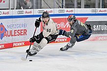 Eishockey, Herren, DEL, Saison 2023-2024, Spieltag 51, ERC Ingolstadt - Kölner Haie, 03.03.2024