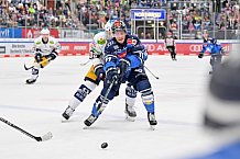 Eishockey, Herren, DEL, Saison 2023-2024, Spieltag 18, ERC Ingolstadt - Eisbären Berlin, 05.11.2023