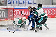 Eishockey, Frauen, European Womens Hockey League, Saison 2024-2025, ERC Ingolstadt - Lakers Kärnten, 13.09.2024