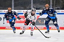 Eishockey, Frauen, DFEL, Saison 2024-2025, ERC Ingolstadt - ECDC Memmingen Indians, 16.11.2024