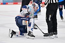 Eishockey, Herren, DEL, Saison 2024-2025, Spieltag 26, ERC Ingolstadt - Iserlohn Roosters, 15.12.2024