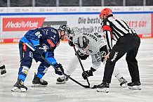 Eishockey, Herren, DEL, Saison 2024-2025, Spieltag 42, ERC Ingolstadt - Kölner Haie, 31.01.2025