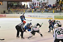 Eishockey, Herren, DEL, Saison 2024-2025, EHC Olten - ERC Ingolstadt, 25.08.2024