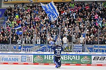 Eishockey, Herren, DEL, Saison 2021-2022, Spieltag 59, ERC Ingolstadt - Schwenninger Wild Wings, 01.04.2022