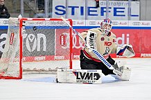 Eishockey, Herren, DEL, Saison 2024-2025, Playoffs Viertelfinale, Spiel 5, ERC Ingolstadt - Nürnberg Ice Tigers, 26.03.2025
