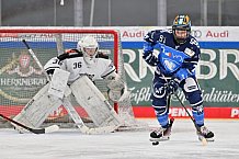 Eishockey, Frauen, DFEL, Saison 2023-2024, ERC Ingolstadt - Amsterdam Tigers, 06.01.2024