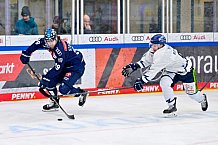 Eishockey, Herren, DEL, Saison 2024-2025, Spieltag 49, ERC Ingolstadt - Straubing Tigers, 28.02.2025