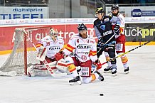 ERC Ingolstadt vs Duesseldorfer EG, Eishockey, DEL, Deutsche Eishockey Liga, Spieltag 50, 21.02.2017