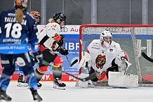 Eishockey, Frauen, DFEL, Saison 2024-2025, ERC Ingolstadt - EC Bergkamener Bären, 12.10.2024