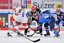 Eishockey, Herren, DEL, Saison 2023-2024, Spieltag 46, ERC Ingolstadt - Düsseldorfer EG, 15.02.2024