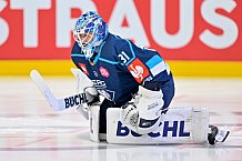 Hockey, Mens, CHL, Season 2025-2026, Regular Season, Game Day 6, ERC Ingolstadt - Odense Bulldogs, 15.10.2025