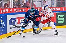 Hockey, Mens, CHL, Season 2025-2026, Regular Season, Round of 16, ERC Ingolstadt - EC Red Bull Salzburg, 12.11.2025
