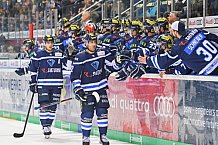 ERC Ingolstadt vs Alder Mannheim am 15.02.2019, Spieltag 32