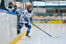 Eishockey, Frauen, DFEL, Saison 2025-2026, ERC Ingolstadt - ECDC Memmingen Indians, 25.01.2026