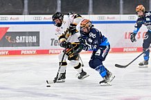 Eishockey, Frauen, DFEL, Vorbereitung, Saison 202-2025, ERC Ingolstadt - St. Pölten, 07.09.2024