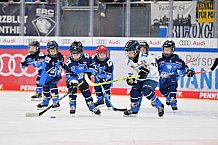 Eishockey, Herren, DEL, Saison 2023-2024, Spieltag 18, ERC Ingolstadt - Eisbären Berlin, 05.11.2023