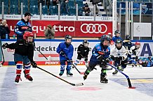 Eishockey, Saison 2025-2026, ERC Ingolstadt - Kids On Ice Day, 29.11.2025