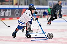 Eishockey, Saison 2025-2026, ERC Ingolstadt - Kids On Ice Day, 29.11.2025