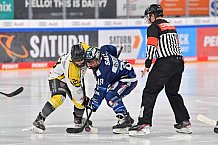 Eishockey, Frauen, DFEL, Saison 2021-2022, ERC Ingolstadt - Mad Dogs Mannheim, 24.10.2021