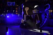 ERC Ingolstadt vs Koelner Haie, DEL, Deutsche Eishockey Liga, Playoffs, Viertelfinale, Spiel 6, 29.03.2019