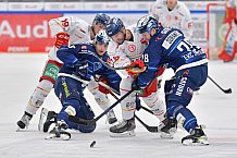 Eishockey, Herren, DEL, Saison 2021-2022, Spieltag 33, ERC Ingolstadt - Düsseldorfer EG, 21.12.2021