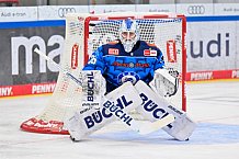 Eishockey, Herren, DEL, Saison 2025-2026, Spiel 16, ERC Ingolstadt - Kölner Haie, 31.10.2025