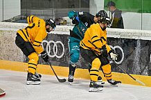 Eishockey, Herren, DEL, Saison 2026-2027, ERC Ingolstadt - HC Verva Litvinov - Steinbach Black Wings Linz, 22.08.2026