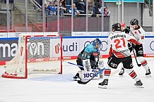 Eishockey, Herren, DEL, Saison 2026-2027, Spieltag 6, ERC Ingolstadt - Kölner Haie, 04.10.2026