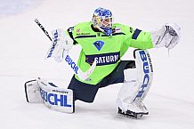 Eishockey, Herren, DEL, Saison 2020-2021, ERC Ingolstadt - Straubing Tigers, 10.02.2021