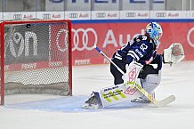 Eishockey, Herren, DEL, Saison 2024-2025, Vorbereitung, ERC Ingolstadt - Dresdner Eislöwen, 18.08.2024