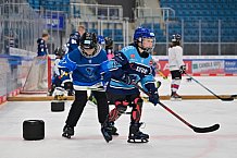 Eishockey, Herren, DEL, Saison 2024-2025, ERC Ingolstadt - Kids On Ice Day, 21.09.2024