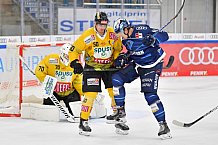 Vorbereitung, Eishockey, Herren, DEL, Saison 2021-2022, ERC Ingolstadt - spusu Vienna Capitals, 04.09.2021