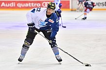 ERC Ingolstadt vs Duesseldorfer EG, Eishockey, DEL, Deutsche Eishockey Liga, Spieltag 50, 21.02.2017