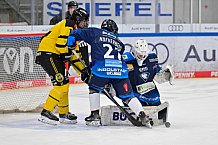 Eishockey, Herren, U20 DNL, Saison 2025-2026, ERC Ingolstadt - Krefeld Pinguine, 10.01.2026