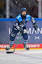 Eishockey, Frauen, DFEL, Saison 2025-2026, Testspiel, ERC Ingolstadt - HC Davos, 14.02.2026