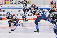 Eishockey, Herren, DEL, Saison 2023-2024, Spieltag 20, ERC Ingolstadt - Adler Mannheim, 19.11.2023