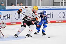 Eishockey, Herren, DEL, Saison 2026-2027, Spieltag 8, ERC Ingolstadt - Löwen Frankfurt, 11.10.2026