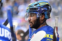 ERC Ingolstadt vs Grizzlys Wolfsburg, Eishockey, DEL, Deutsche Eishockey Liga, Spieltag 12, 13.10.2017