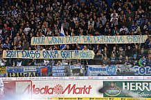 ERC Ingolstadt vs Schwenninger Wild Wings, Eishockey, DEL, Deutsche Eishockey Liga, 20.11.2015