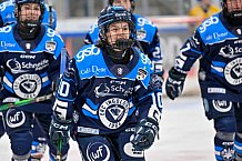 Eishockey, Frauen, DFEL, Saison 2025-2026, Testspiel, ERC Ingolstadt - HC Davos, 14.02.2026