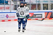 Eishockey, Frauen, DFEL, Saison 2025-2026, Spieltag 3, ERC Ingolstadt - Mad Dogs Mannheim, 27.09.2025