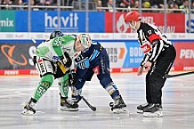 Eishockey, Herren, DEL, Saison 2022-2023, Spieltag 58, ERC Ingolstadt - Bietigheim Steelers, 28.02.2023