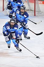 Eishockey, Frauen, DFEL, Saison 2020-2021, ERC Ingolstadt - ECDC Memmingen Indians, 21.02.2021