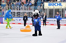 Eishockey, Herren, DEL, Saison 2023-2024, Spieltag 18, ERC Ingolstadt - Eisbären Berlin, 05.11.2023
